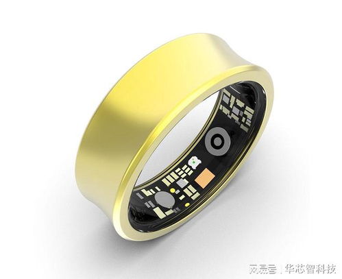 智能健康監(jiān)測(cè)戒指選購指南 專業(yè)品牌深度解析